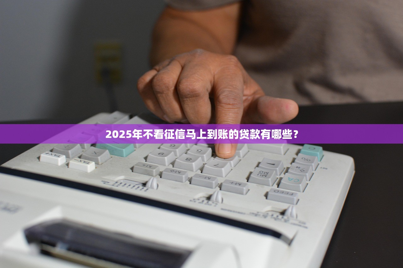 2025年不看征信马上到账的贷款有哪些? 2025年不看征信马上到账的贷款有哪些?