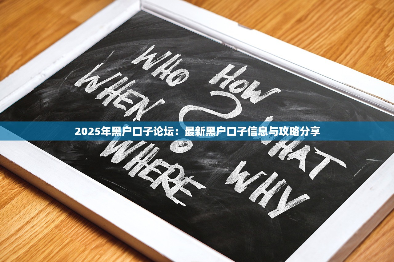 2025年黑户口子论坛：最新黑户口子信息与攻略分享