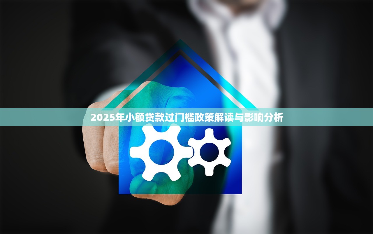 2025年小额贷款过门槛政策解读与影响分析