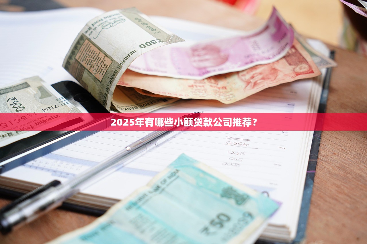 2025年有哪些小额贷款公司推荐？