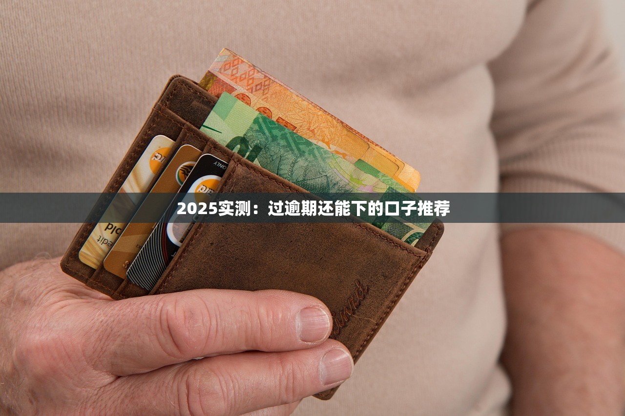 2025无视黑白秒下网贷口子推荐，轻松借款无忧