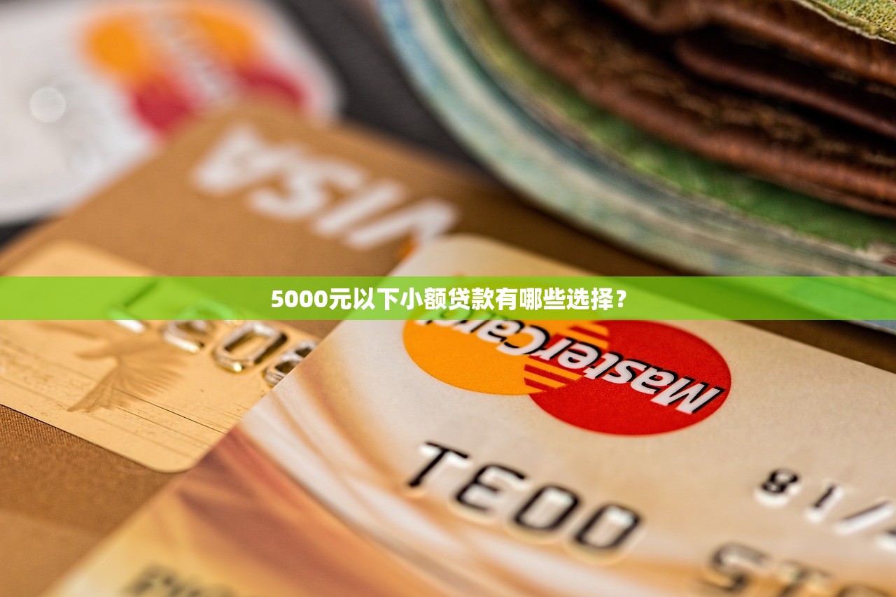 2025年及时租贷款申请被拒怎么办？试试这5个合法贷款平台