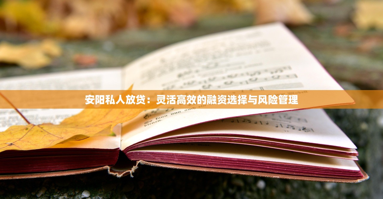 安阳私人放贷：灵活高效的融资选择与风险管理