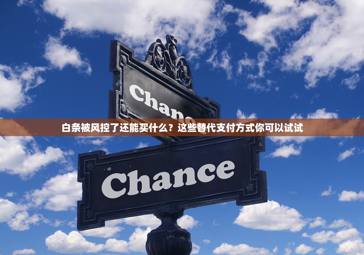 白条被风控了还能买什么？这些替代支付方式你可以试试