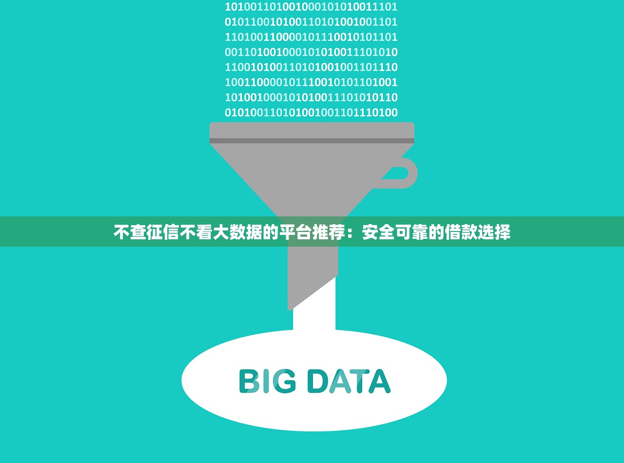 不查征信不看大数据的平台推荐：安全可靠的借款选择