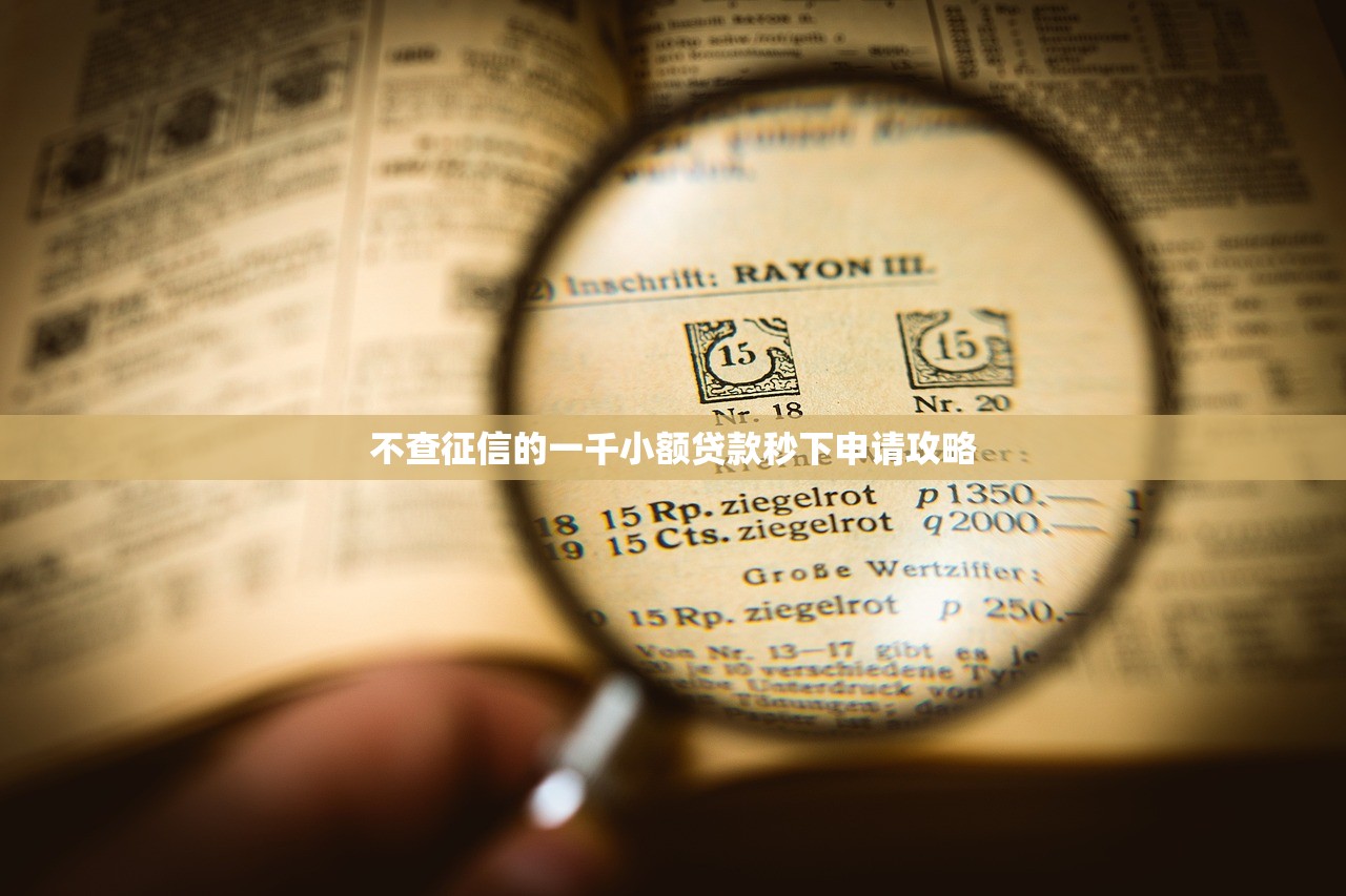 不查征信的一千小额贷款秒下申请攻略