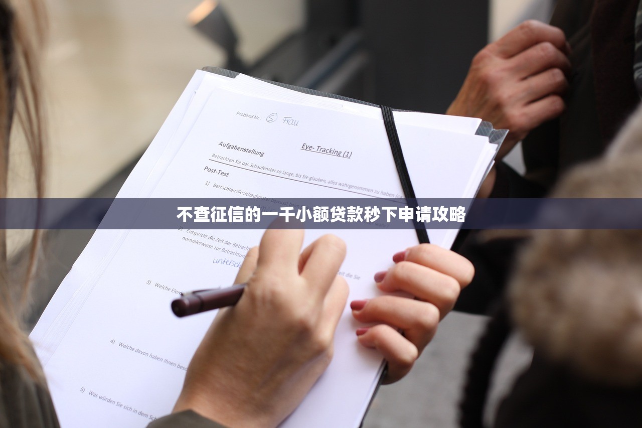 不查征信的一千小额贷款秒下申请攻略