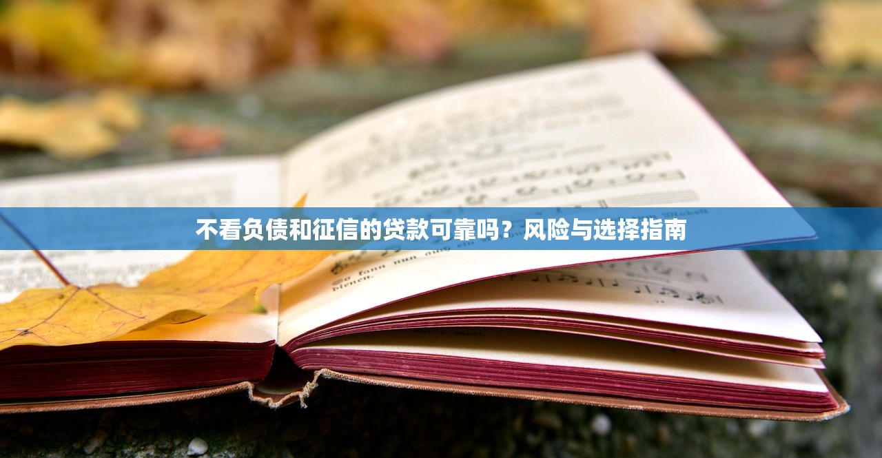 不看负债和征信的贷款可靠吗？风险与选择指南