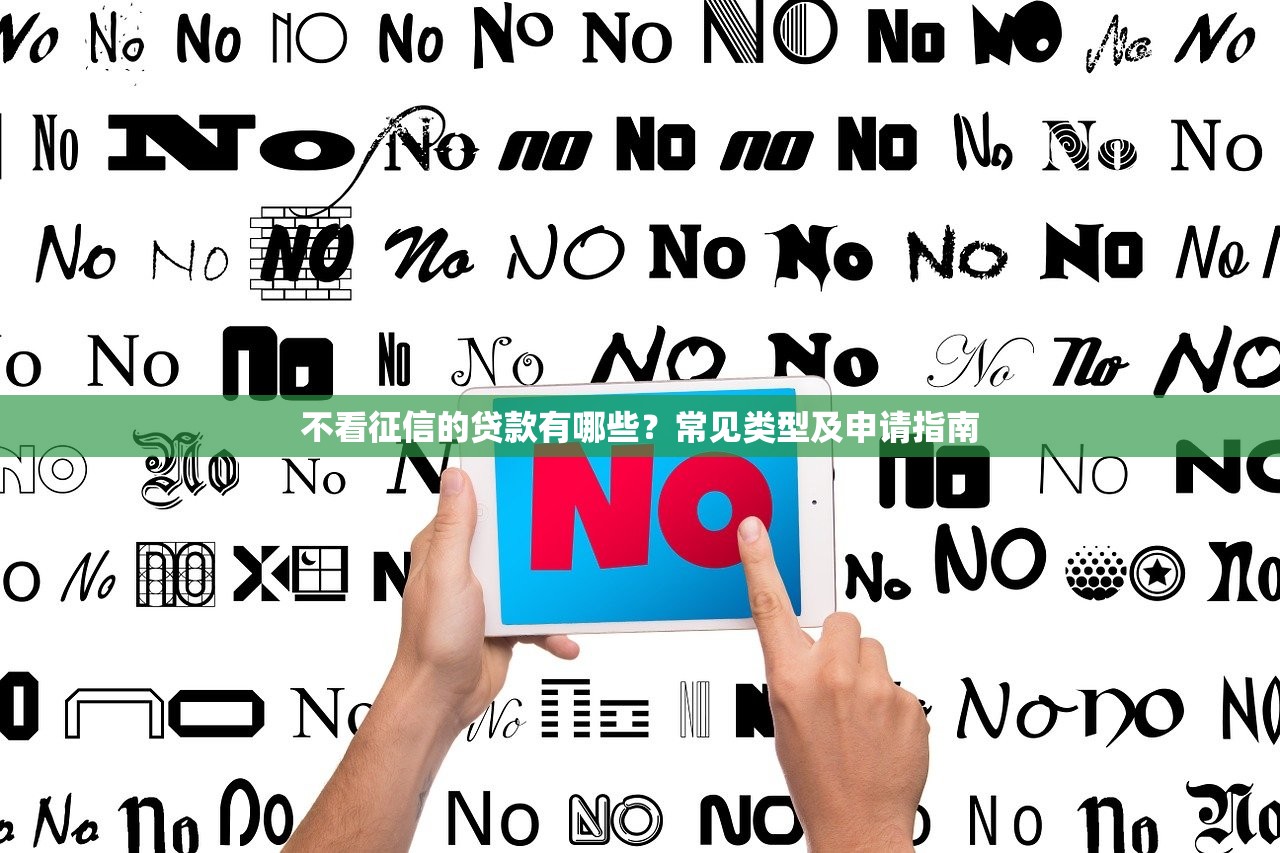 不看征信的贷款有哪些？常见类型及申请指南
