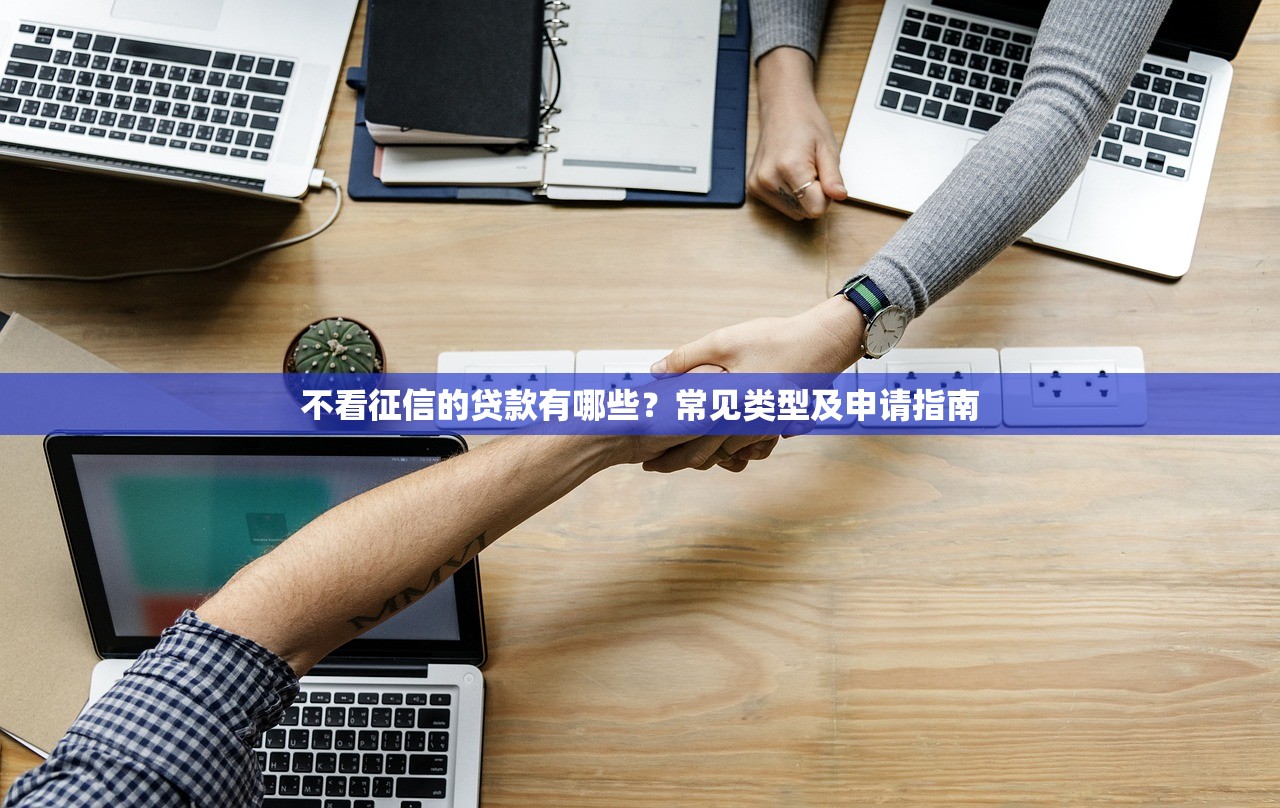不看征信的贷款有哪些？常见类型及申请指南