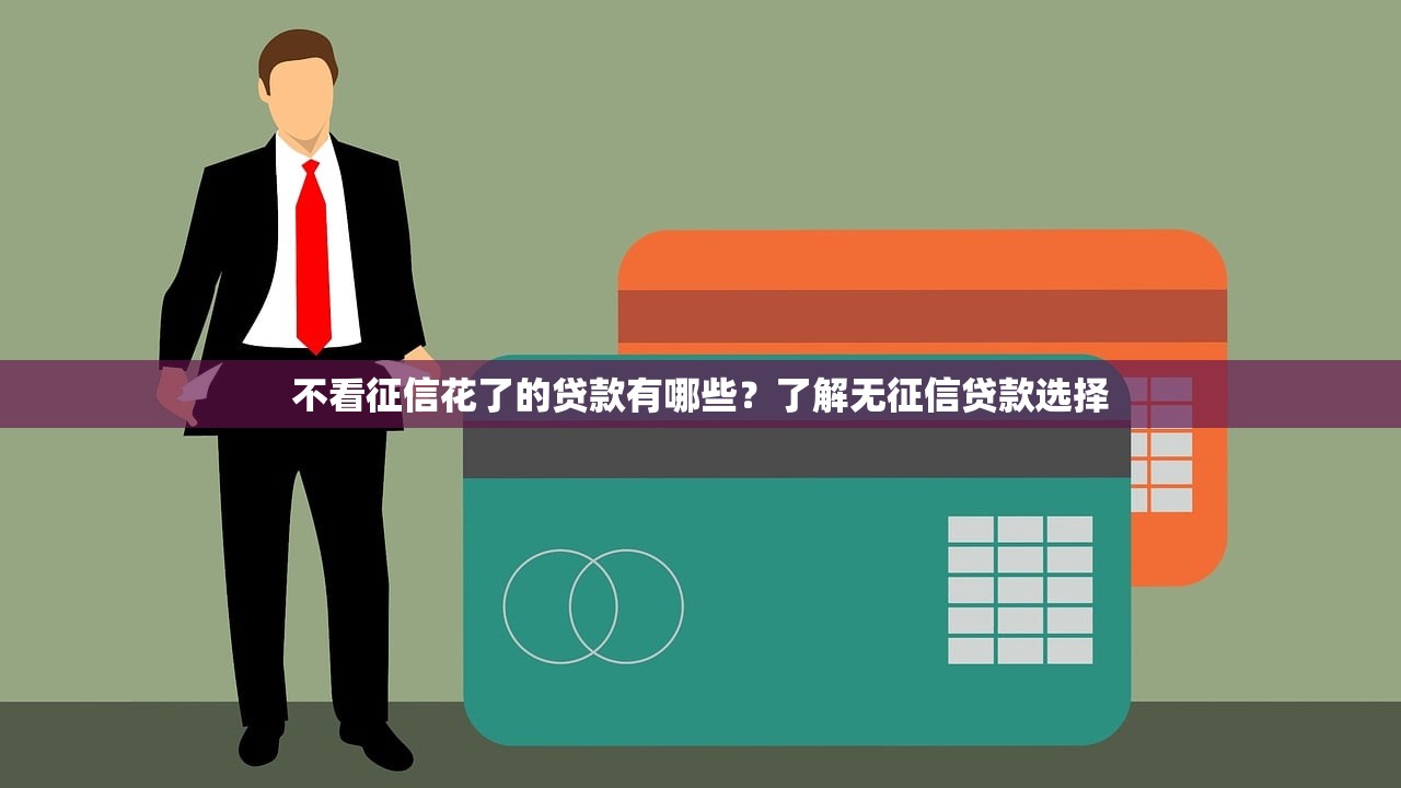 不看征信花了的贷款有哪些？了解无征信贷款选择
