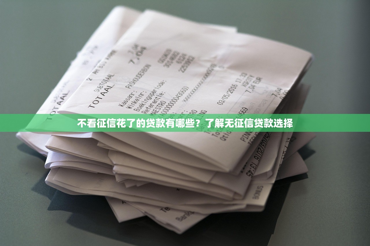 不看征信花了的贷款有哪些？了解无征信贷款选择
