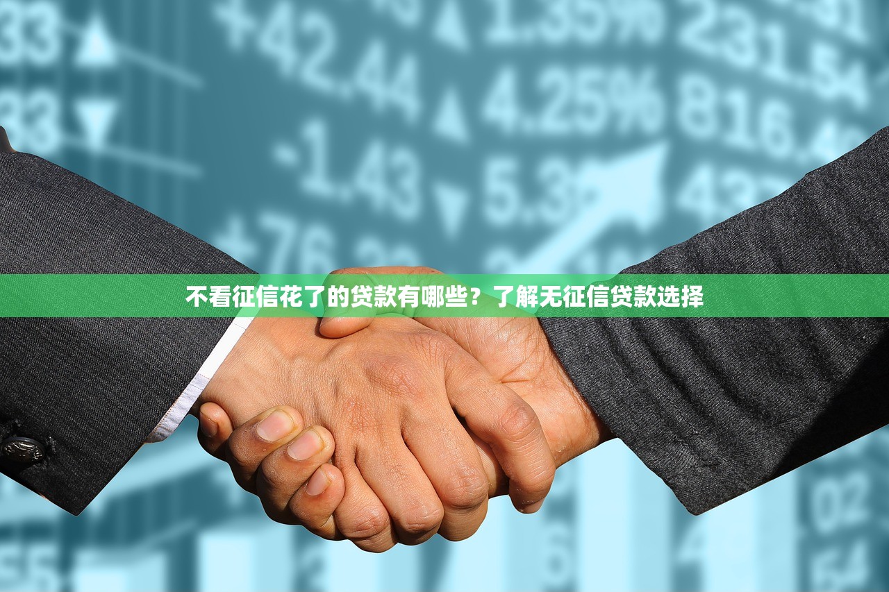 不看征信花了的贷款有哪些？了解无征信贷款选择