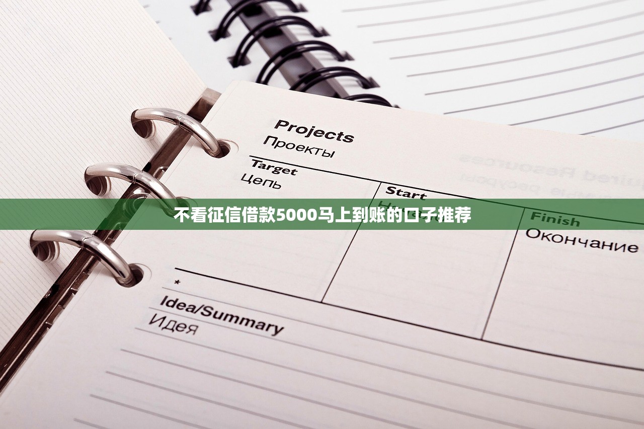 不看征信借款5000马上到账的口子推荐