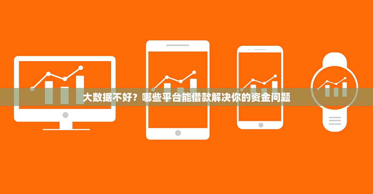 大数据不好？哪些平台能借款解决你的资金问题