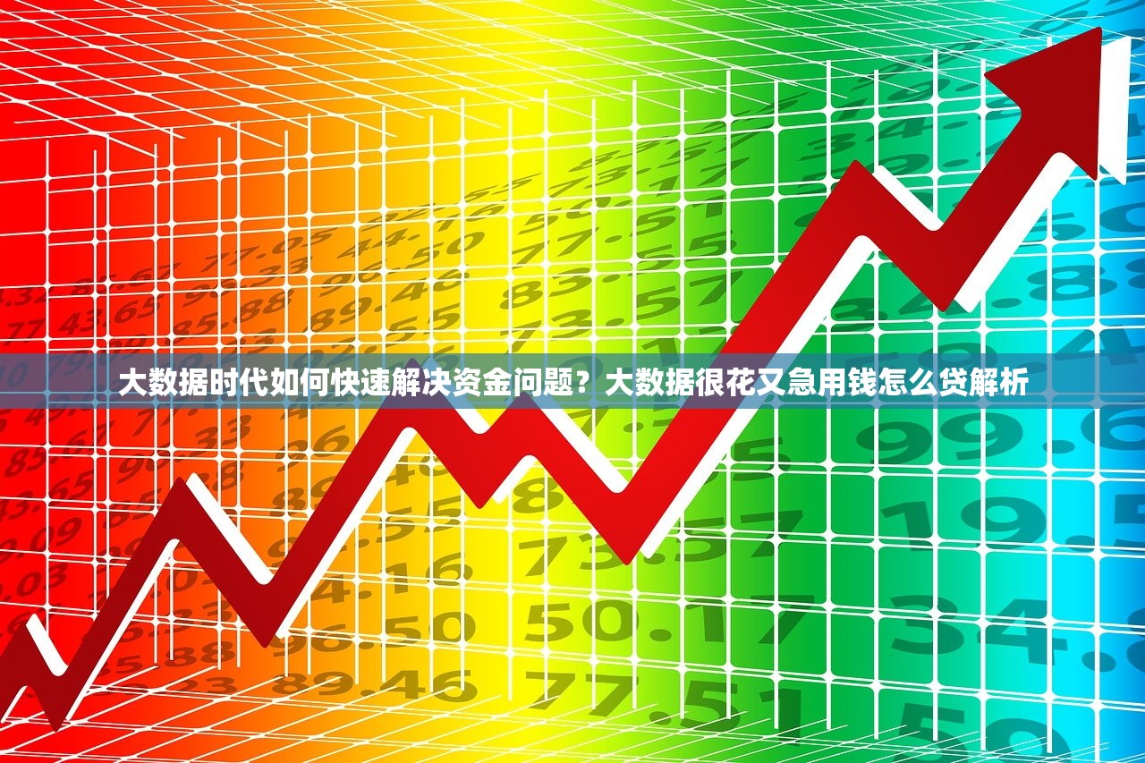 大数据时代如何快速解决资金问题？大数据很花又急用钱怎么贷解析