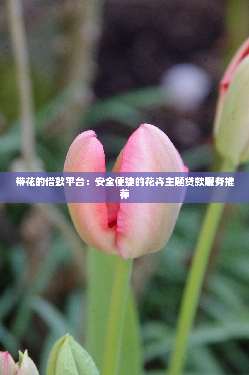 带花的借款平台：安全便捷的花卉主题贷款服务推荐