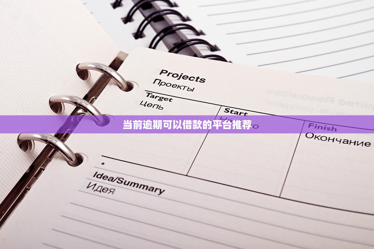 当前逾期可以借款的平台推荐