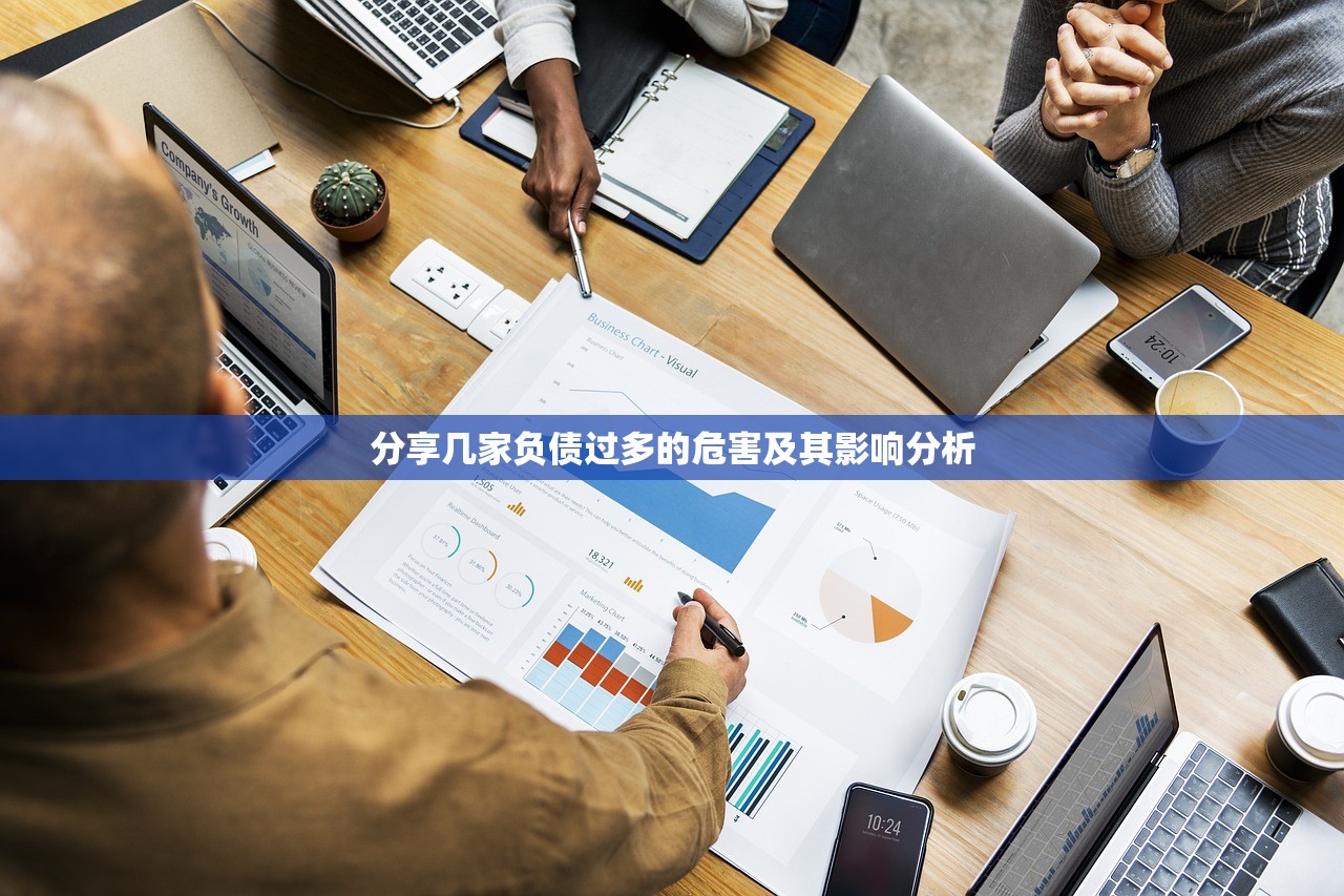 分享几家负债过多的危害及其影响分析
