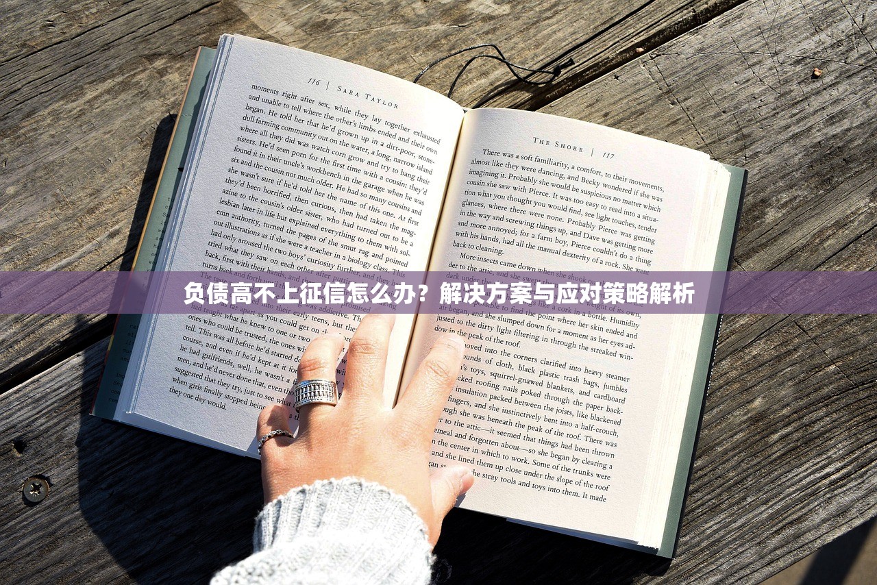 负债高不上征信怎么办？解决方案与应对策略解析