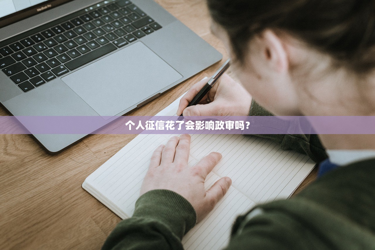 个人征信花了会影响政审吗？