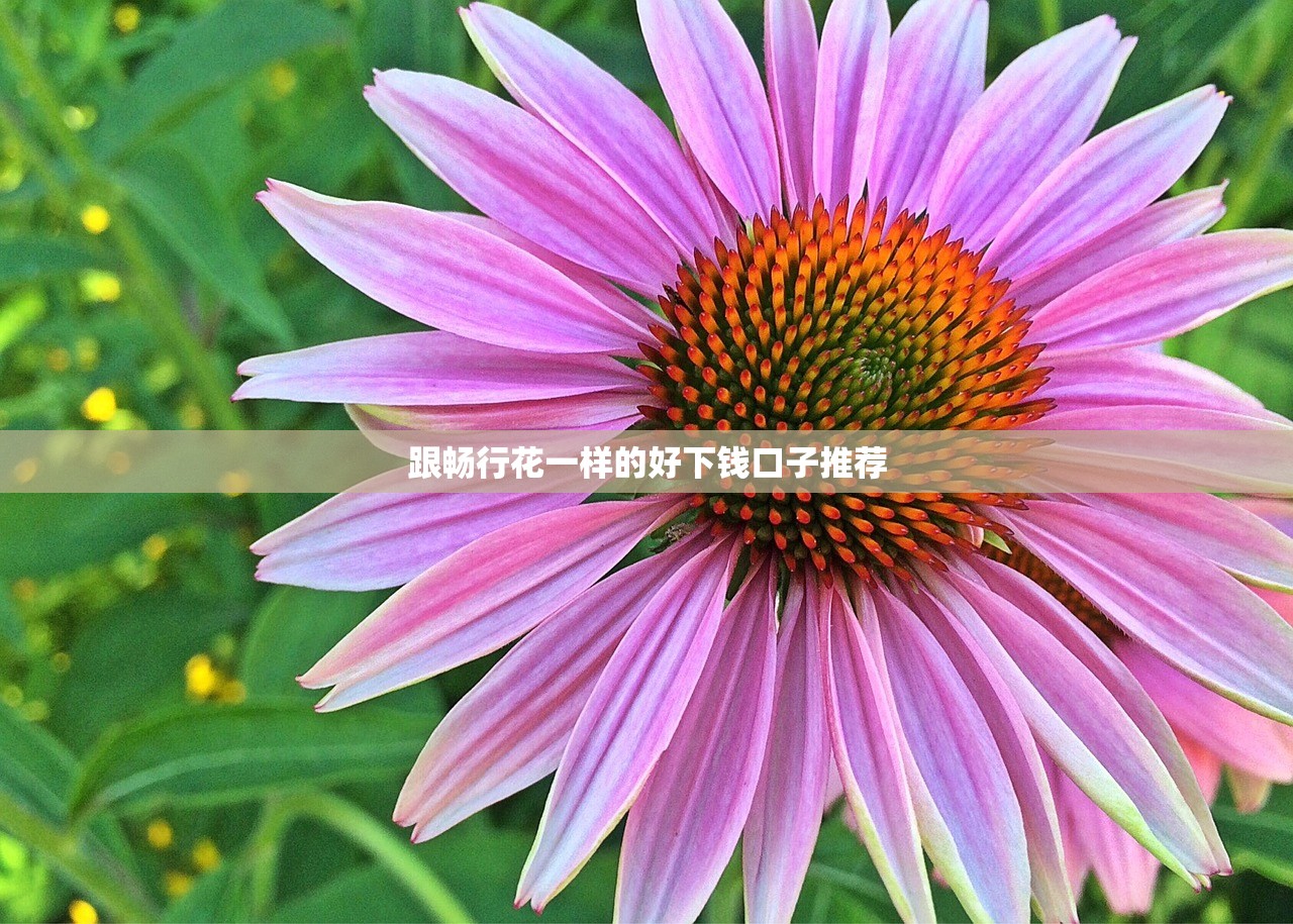 银税互动贷款申请流程能撤销吗？这些细节要提前了解