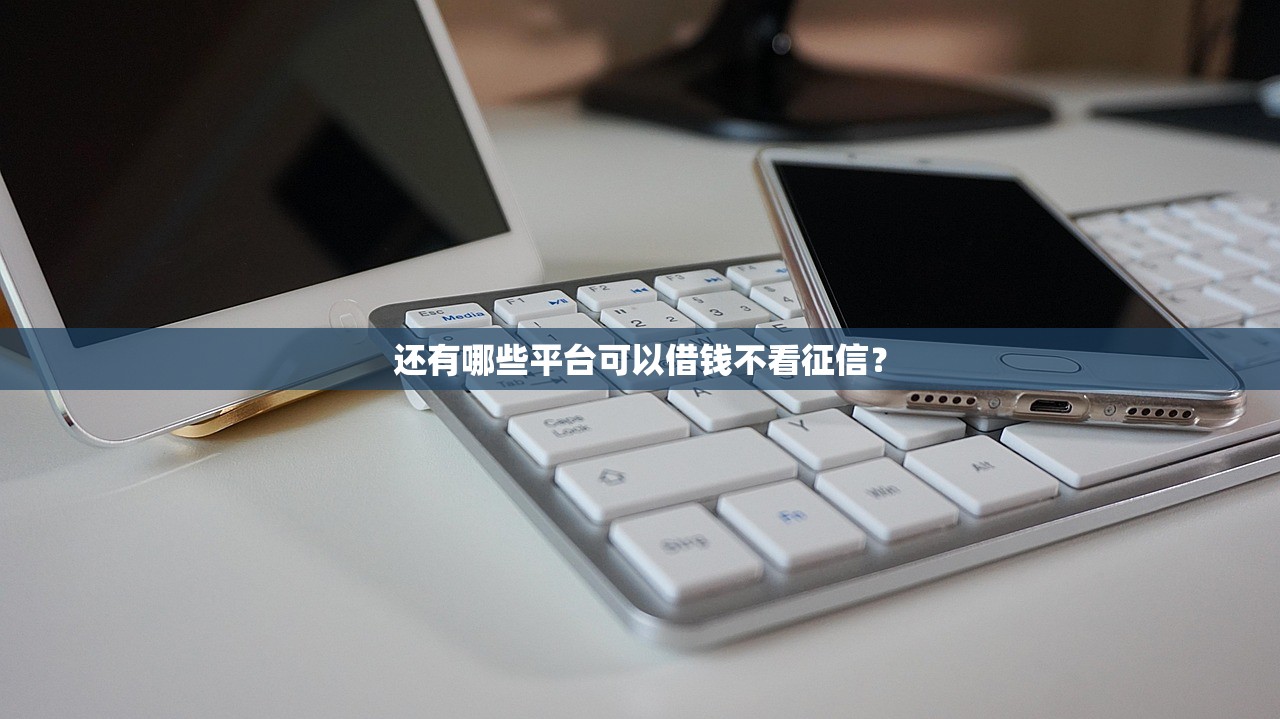 网贷哪个平台不查征信好借钱？试试这几个正规渠道