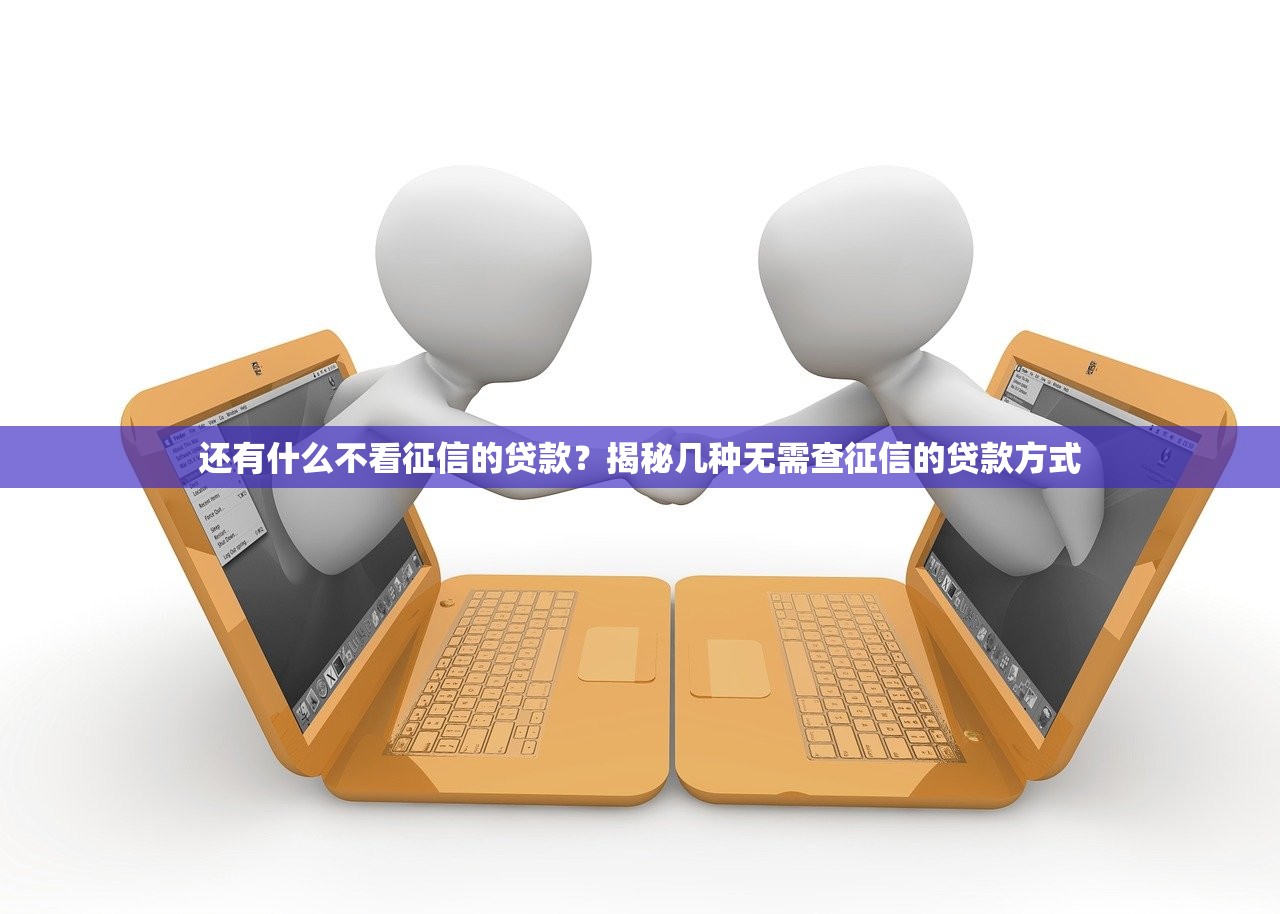 还有什么不看征信的贷款?揭秘几种无需查征信的贷款方式 还有什么不看征信的贷款?揭秘几种无需查征信的贷款方式