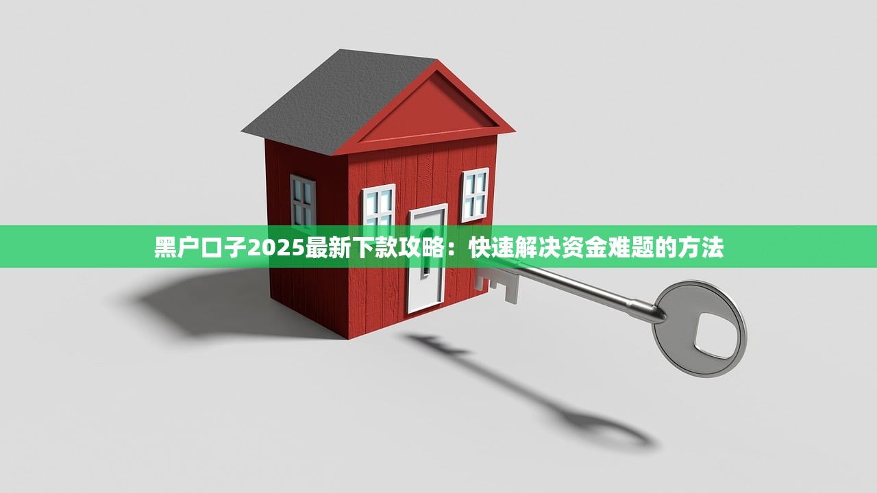 黑户口子2025最新下款攻略:快速解决资金难题的方法 黑户口子2025最新下款攻略:快速解决资金难题的方法