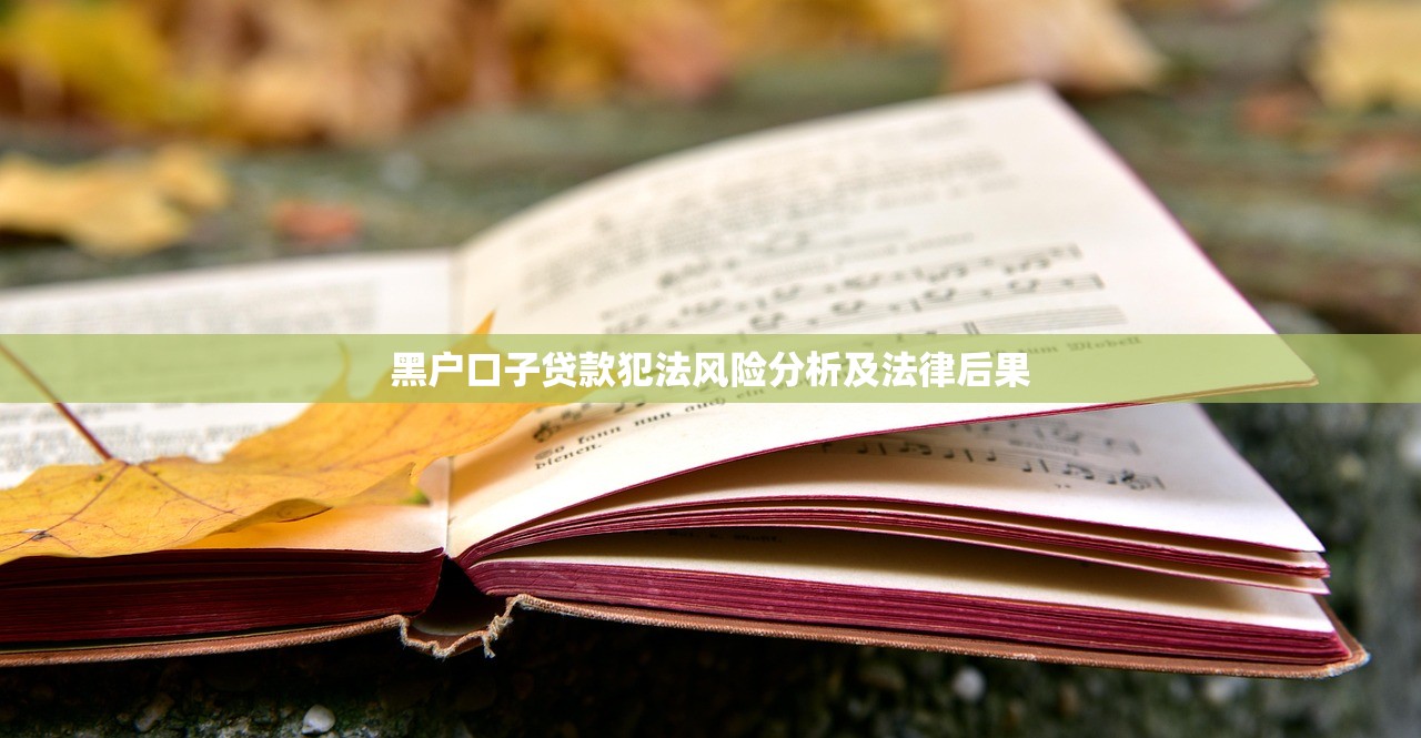 黑户口子贷款犯法风险分析及法律后果 黑户口子贷款犯法风险分析及法律后果