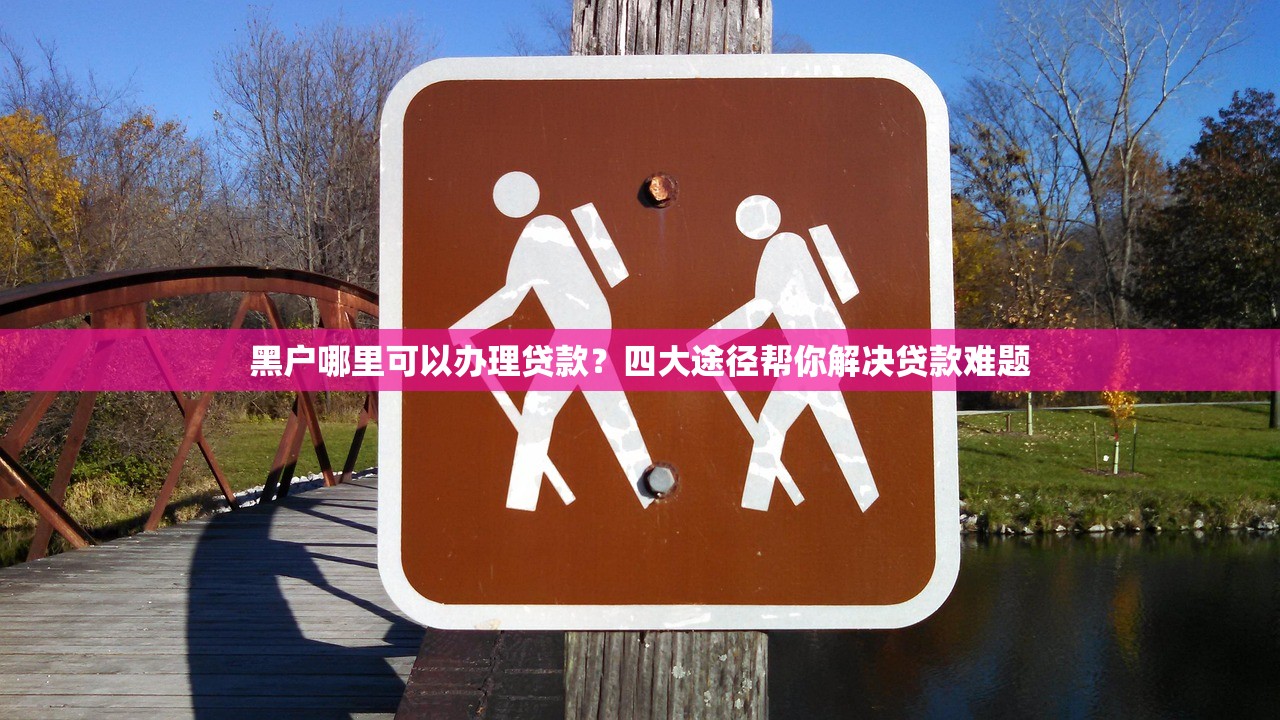 2025年景德镇借钱微信，试试这五个黑白花户必过的贷款平台