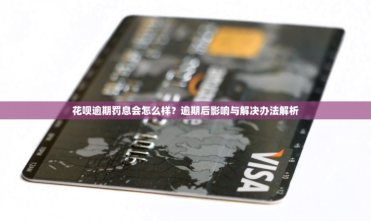 什么平台可以分36期还款？盘点5个靠谱渠道帮你减轻压力