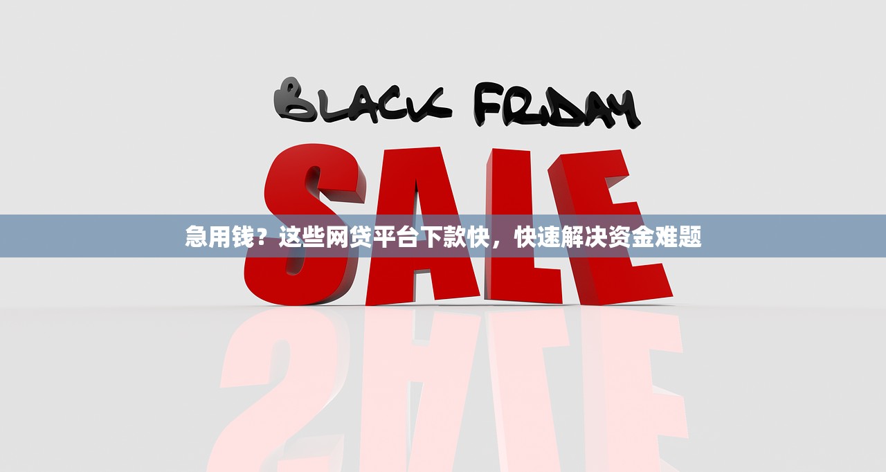 急用钱？这些网贷平台下款快，快速解决资金难题