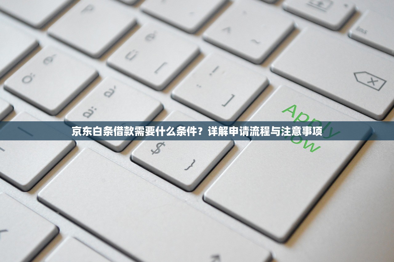 京东白条借款需要什么条件？详解申请流程与注意事项