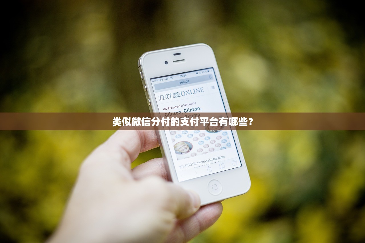 2025年1借钱花，试试这5个百分百下款无视黑白户口子