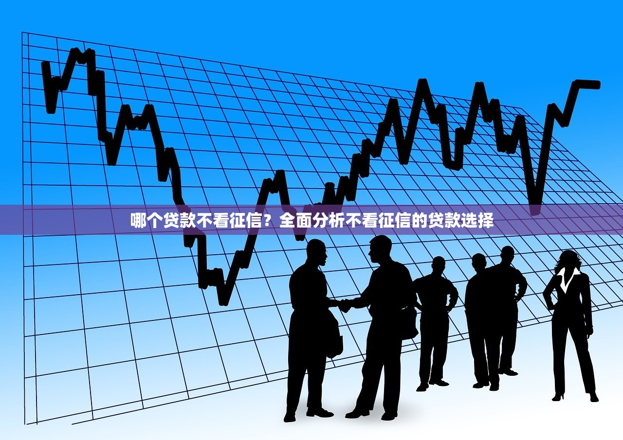 哪个贷款不看征信?全面分析不看征信的贷款选择 哪个贷款不看征信?全面分析不看征信的贷款选择