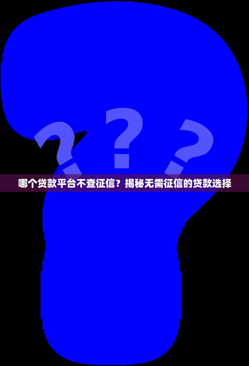 哪个贷款平台不查征信?揭秘无需征信的贷款选择 哪个贷款平台不查征信?揭秘无需征信的贷款选择