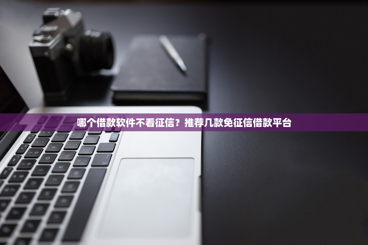 2025小额黑花口子怎么选？这5个平台审核快、门槛低