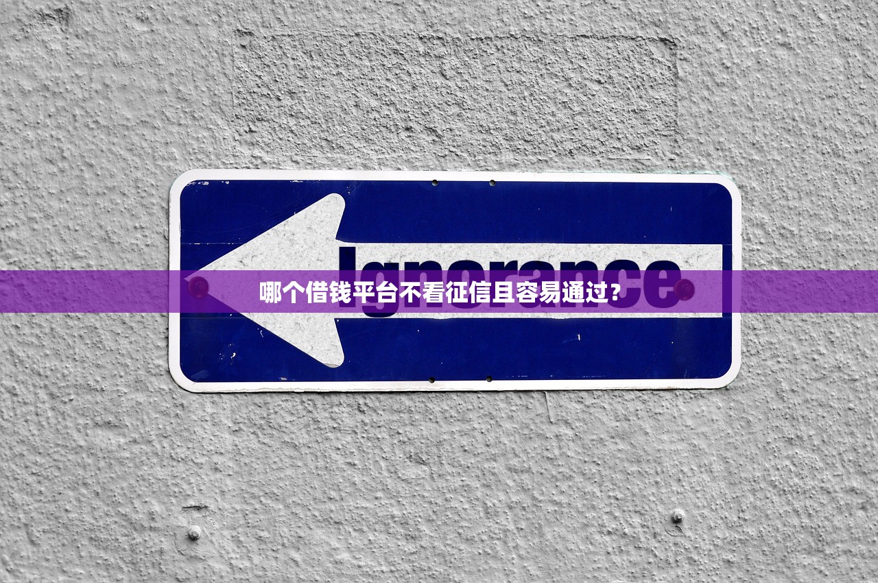 哪个借钱平台不看征信且容易通过？