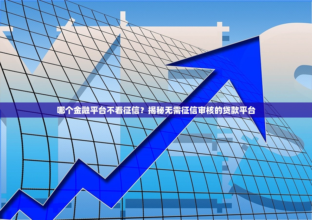 哪个金融平台不看征信?揭秘无需征信审核的贷款平台 哪个金融平台不看征信?揭秘无需征信审核的贷款平台