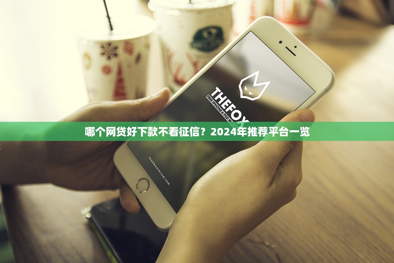 闪银的口子哪些能下款？实测这5个平台通过率高！