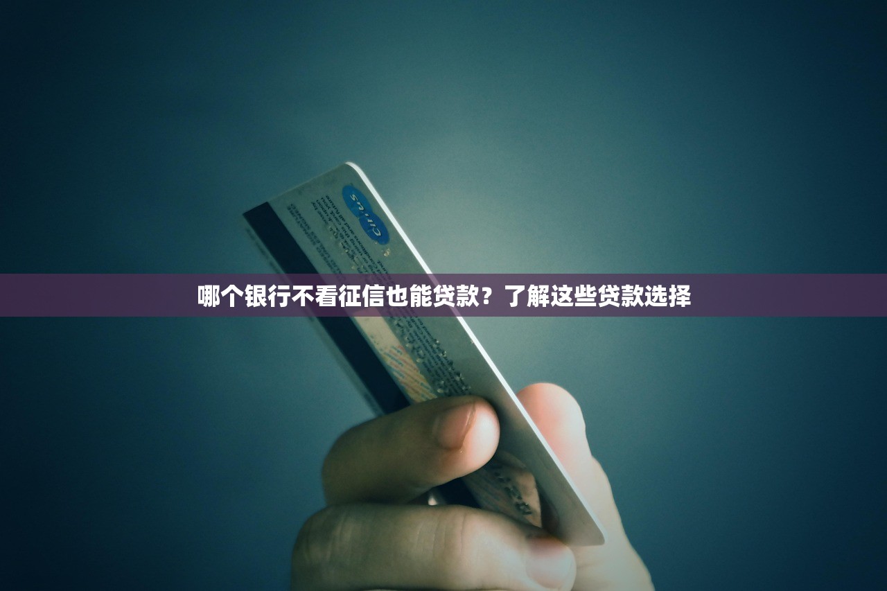 哪个银行不看征信也能贷款?了解这些贷款选择 哪个银行不看征信也能贷款?了解这些贷款选择