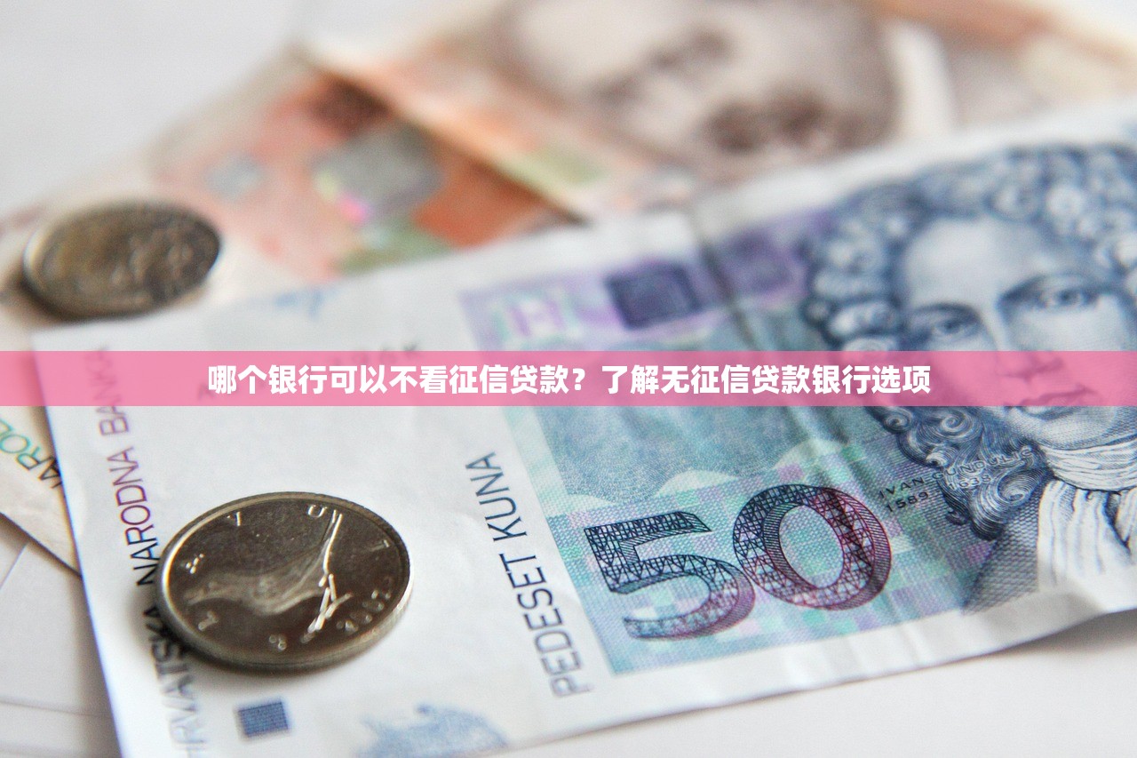 哪个银行可以不看征信贷款?了解无征信贷款银行选项 哪个银行可以不看征信贷款?了解无征信贷款银行选项