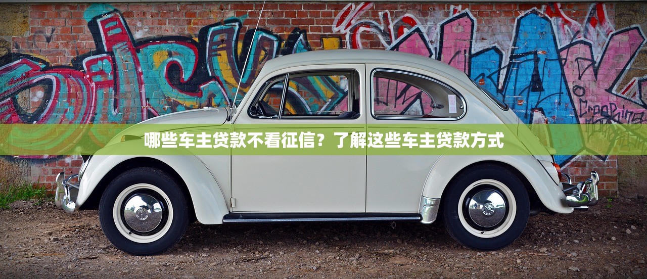 哪些车主贷款不看征信？了解这些车主贷款方式