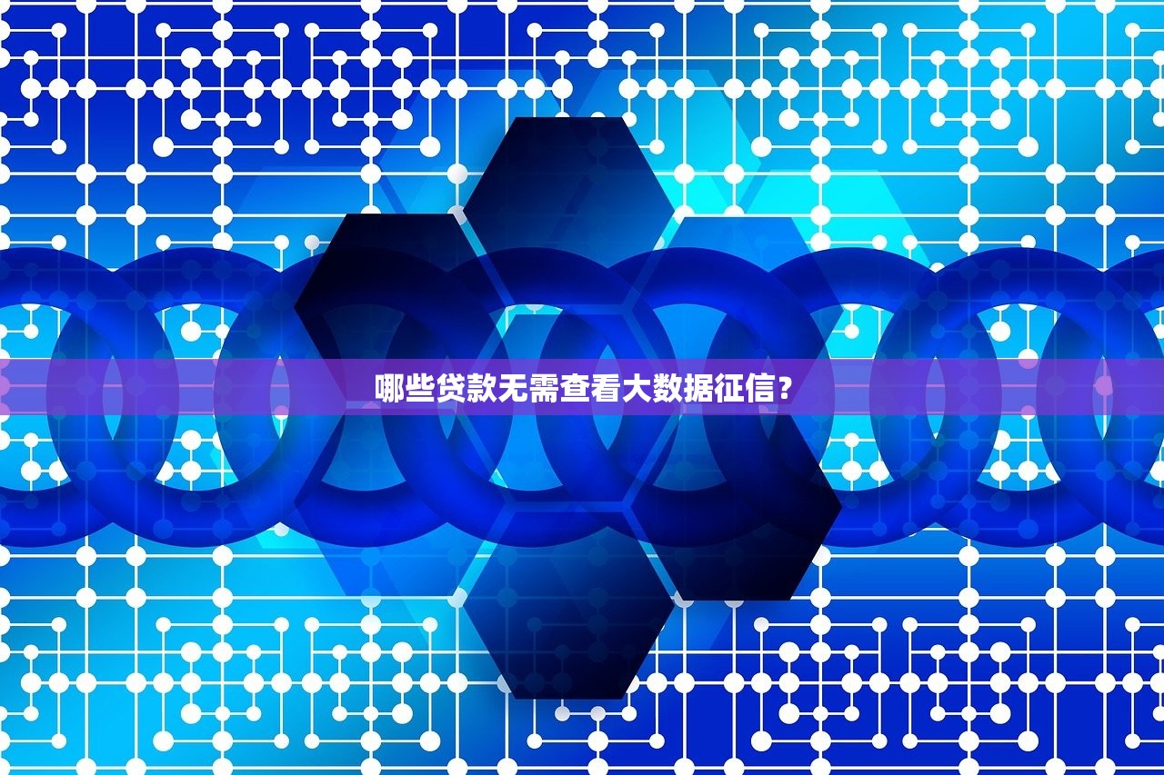 哪些贷款无需查看大数据征信？