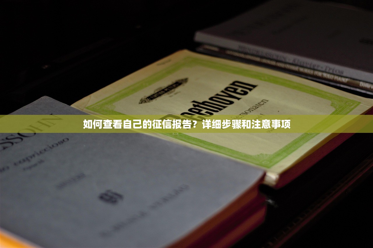 如何查看自己的征信报告？详细步骤和注意事项