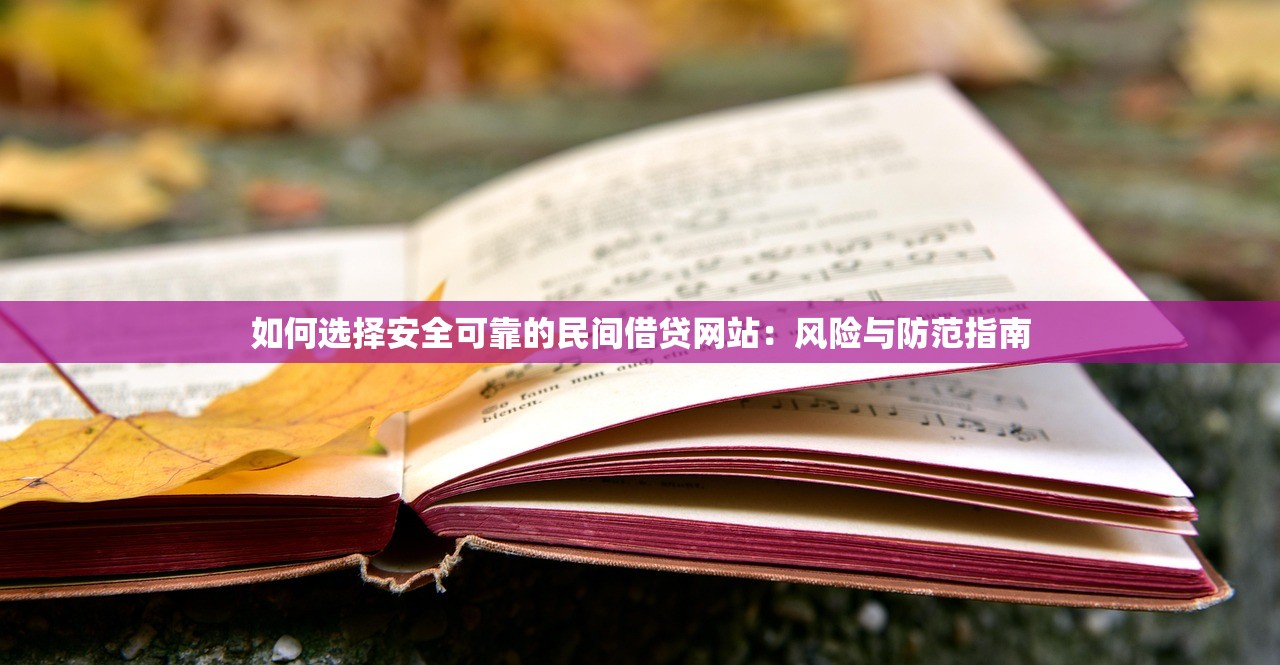 如何选择安全可靠的民间借贷网站:风险与防范指南 如何选择安全可靠的民间借贷网站:风险与防范指南