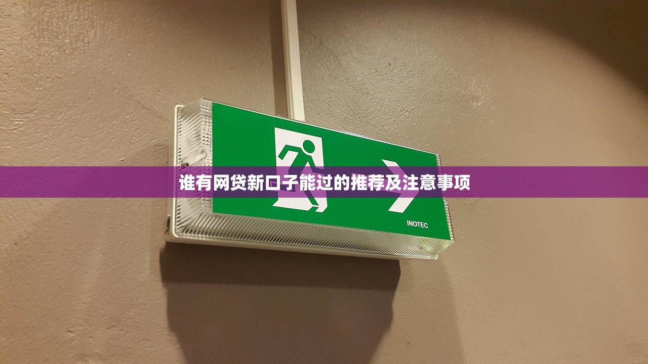 可以用保单借款的口子盘点！这5个正规渠道靠谱吗