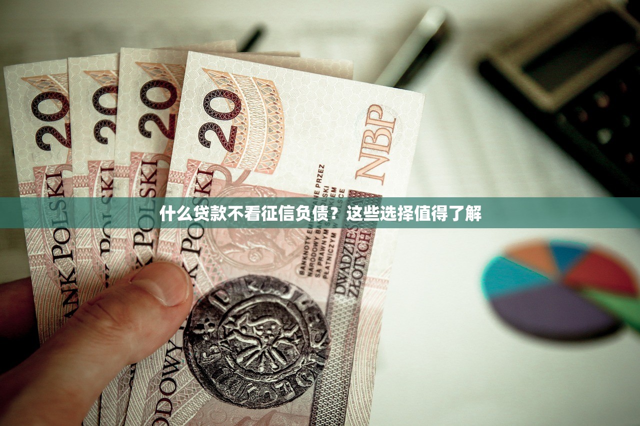 什么贷款不看征信负债?这些选择值得了解 什么贷款不看征信负债?这些选择值得了解