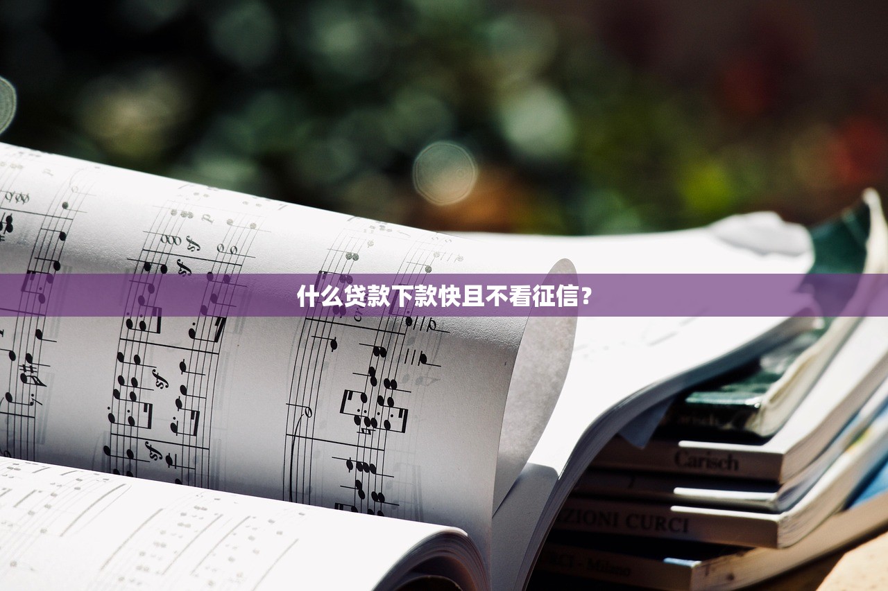什么贷款下款快且不看征信? 什么贷款下款快且不看征信?